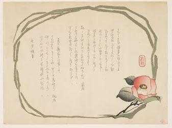 Kamelie, Januar 1860